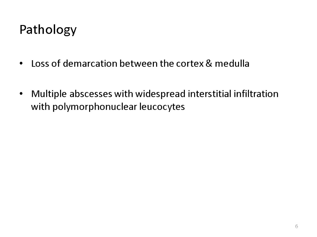 Pathology Loss of demarcation between the cortex & medulla Multiple abscesses with widespread interstitial